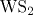 \mathrm {WS_2}